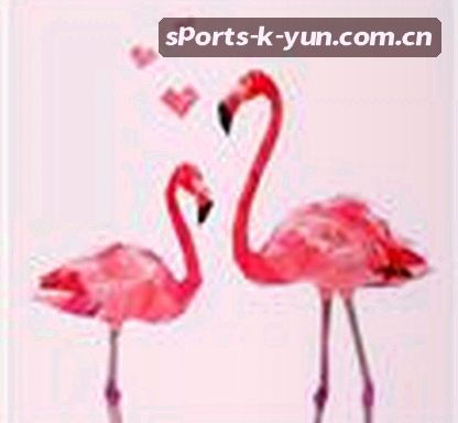 王刚